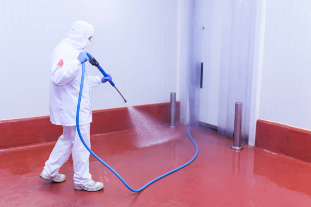 Professional Pressure Washing Services in East Renton Highlands, WA
